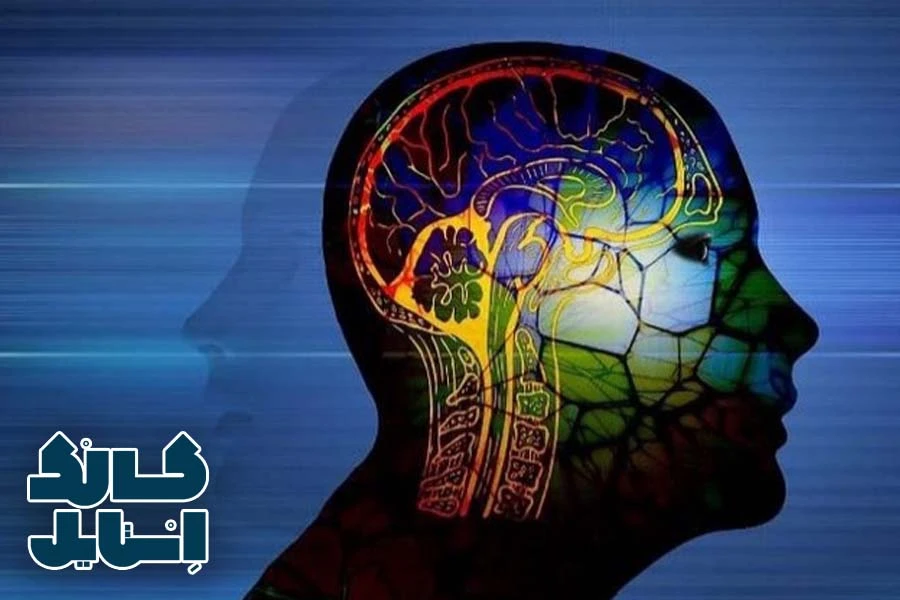 تأثیر دوپامین بر برنامه‌ریزی